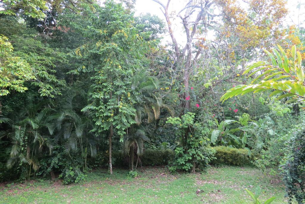 Apartamento Karibu Manuel Antonio Pokoj fotografie